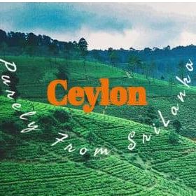 Ceylon sales