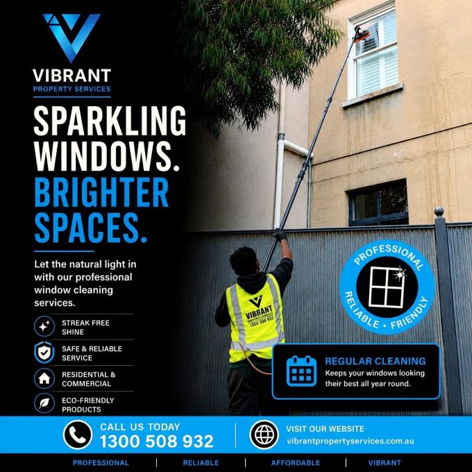 window cleaning vibrant property service